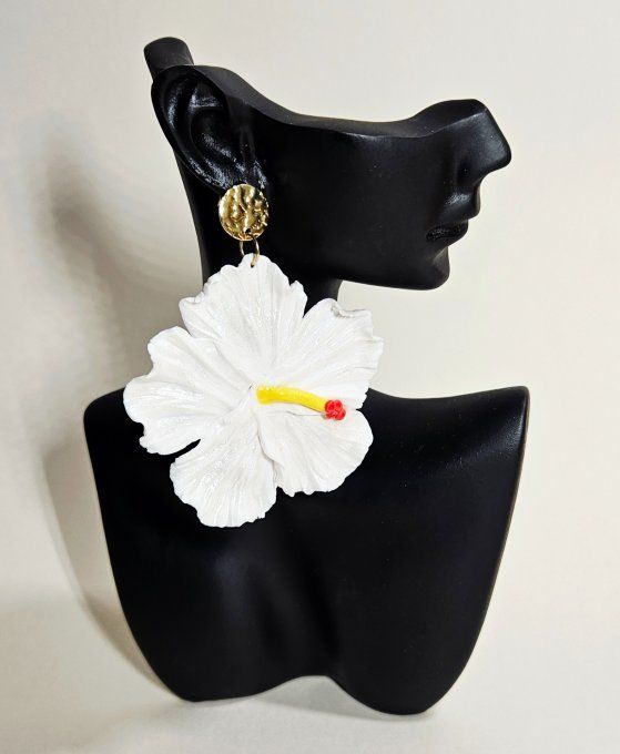 HIBISCUS BLANC