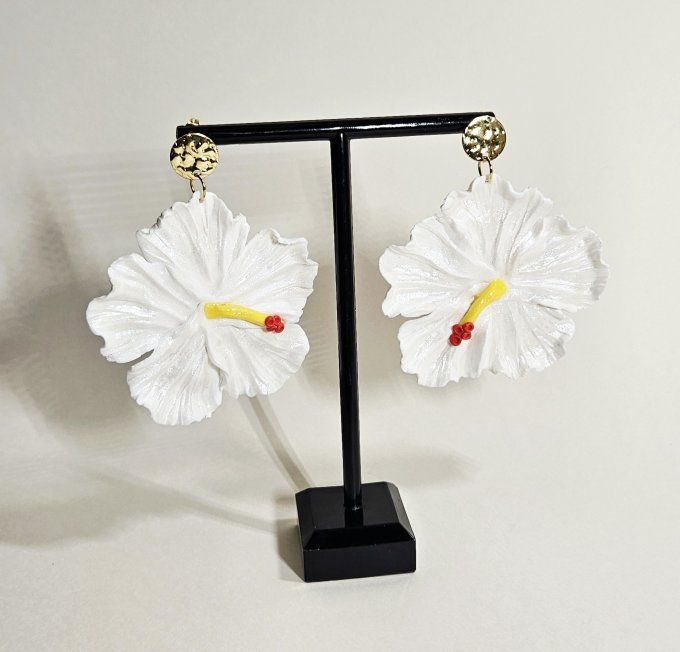 HIBISCUS BLANC