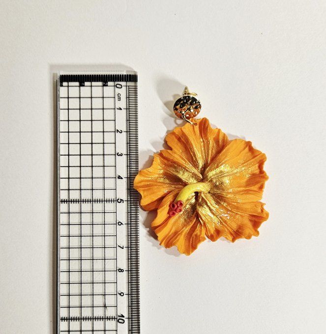HIBISCUS ORANGE