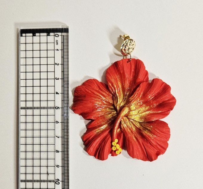 HIBISCUS ROUGE