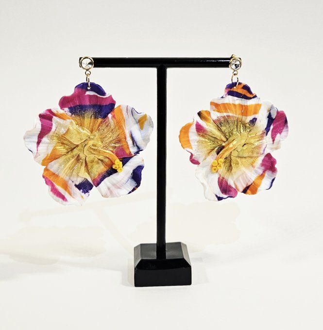 HIBISCUS COUCHE DE SOLEIL