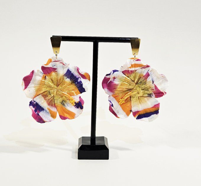HIBISCUS COUCHE DE SOLEIL
